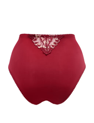 Sofia Lace Embroidered Full Briefs