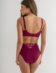 Sofia Lace Embroidered Full Briefs