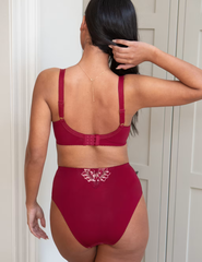 Sofia Lace Embroidered Full Briefs