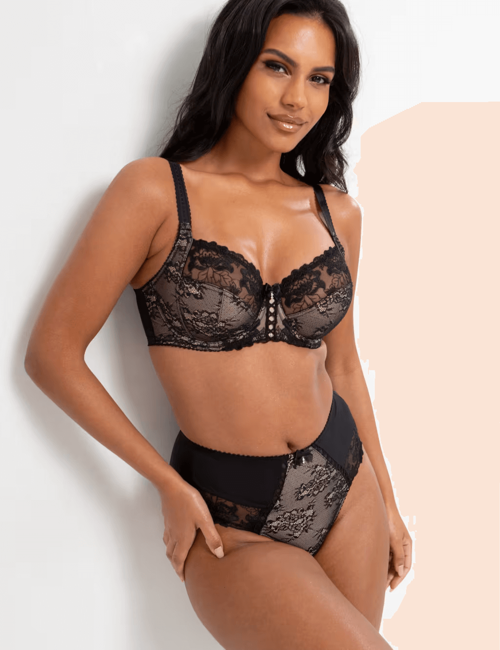 Sofia Lace Embroidered Full Briefs