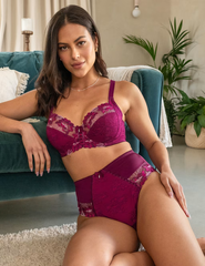 Sofia Lace Embroidered Full Briefs