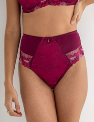Sofia Lace Embroidered Full Briefs
