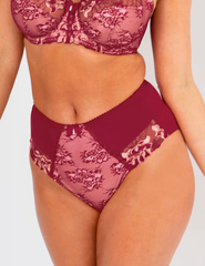 Sofia Lace Embroidered Full Briefs